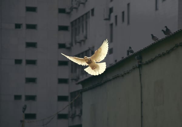 Sunguk Kim, Unsplash
