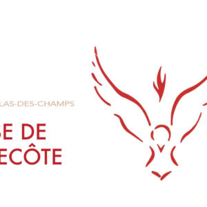 FIP : Dimanche 8 juin – PENTECÔTE